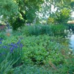Lindetuin in Erpe-Mere opent poorten voor bezoekers: duurzame tuin vol geur, kleur en natuurbeleving.