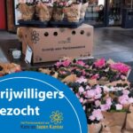Erpe-Mere zoekt helpende handen voor plantjesweekend van Kom op tegen Kanker.