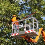 Openbaar onderzoek Vlaams natuurbeheerplan onder hoogspanningslijnen.