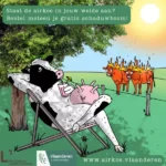 Gratis schaduwbomen voor veehouders: project Airkoe helpt strijd tegen hitte en droogte.