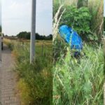 Bermbeheer in Erpe-Mere zorgt voor politieke discussie: kritiek van Vlaams Belang, verdediging van schepen Lambrecht.
