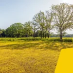 Brandgevaarcode geel in natuurgebieden vanaf 23 juni om 14 uur.