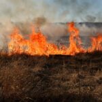 Code oranje: verhoogd risico op natuurbrand.