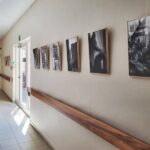 Fotograaf Luc Wasteels exposeert tot november in WZC OLV Ten Rozen.