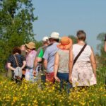 Ontdek de verborgen natuurpracht van het Osbroek tijdens begeleide wandeling van Natuurpunt Aalst.