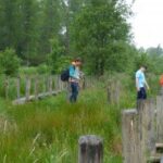 Ontdek de vrijersbaantjes en de Nuchten tijdens sfeervolle zomerwandeling in Idegem.