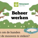Vrijwilligers steken handen uit de mouwen tijdens beheervoormiddag van Natuurpunt Erpe-Mere.