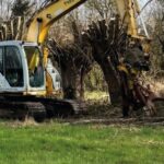 Nieuwe groepsaankoop helpt landbouwers bij het knotten van knotwilgen in Geraardsbergen.