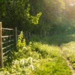 Nieuwe afsluiting versterkt natuurbeheer in de Smoorbeekvallei.