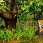 Maak van je tuin een groene, klimaatbestendige plek.