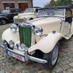 Kassa! Veiling van The Willy Michiels Collection brengt bijna 6,6 miljoen euro op.
