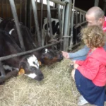 Netwerk Beleef de boerderij bereikt kaap van 100 Oost-Vlaamse bezoekboerderijen.