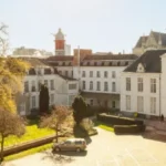 Aalsterse Ginkgo aan historisch stadhuis maakt kans op titel Belgische Boom van het Jaar.