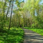 Aalst plant op 29 november nieuw geboortebos aan Osbroek.