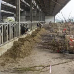 Oost-Vlaamse land- en tuinbouwers & imkers bouwen aan een biodivers landschap.