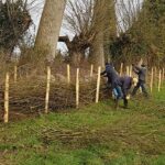 Natuurpunt Houtem organiseert beheerdag in Smoorbeekvallei.