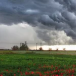 De hevige regenval, de storm- en rukwinden en de hagelbuien van 9 juli 2024 zijn erkend als ramp.