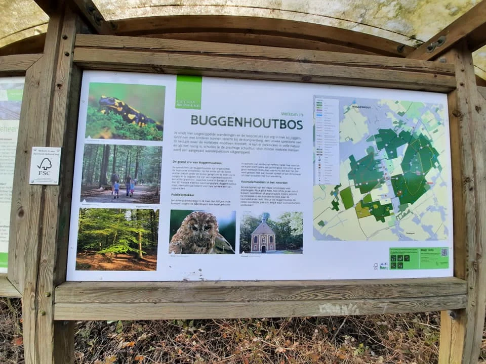Buggenhoutbos