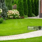 Door je tuin wat meer ruimte te geven aan bloemen, gras en insecten, help je niet alleen jezelf, maar ook de natuur een handje.