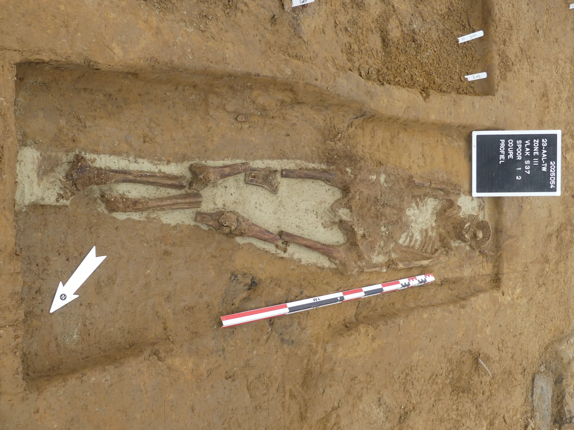 Bijzondere archeologische vondst op het Aalsterse Jennemiekeskerkhof.