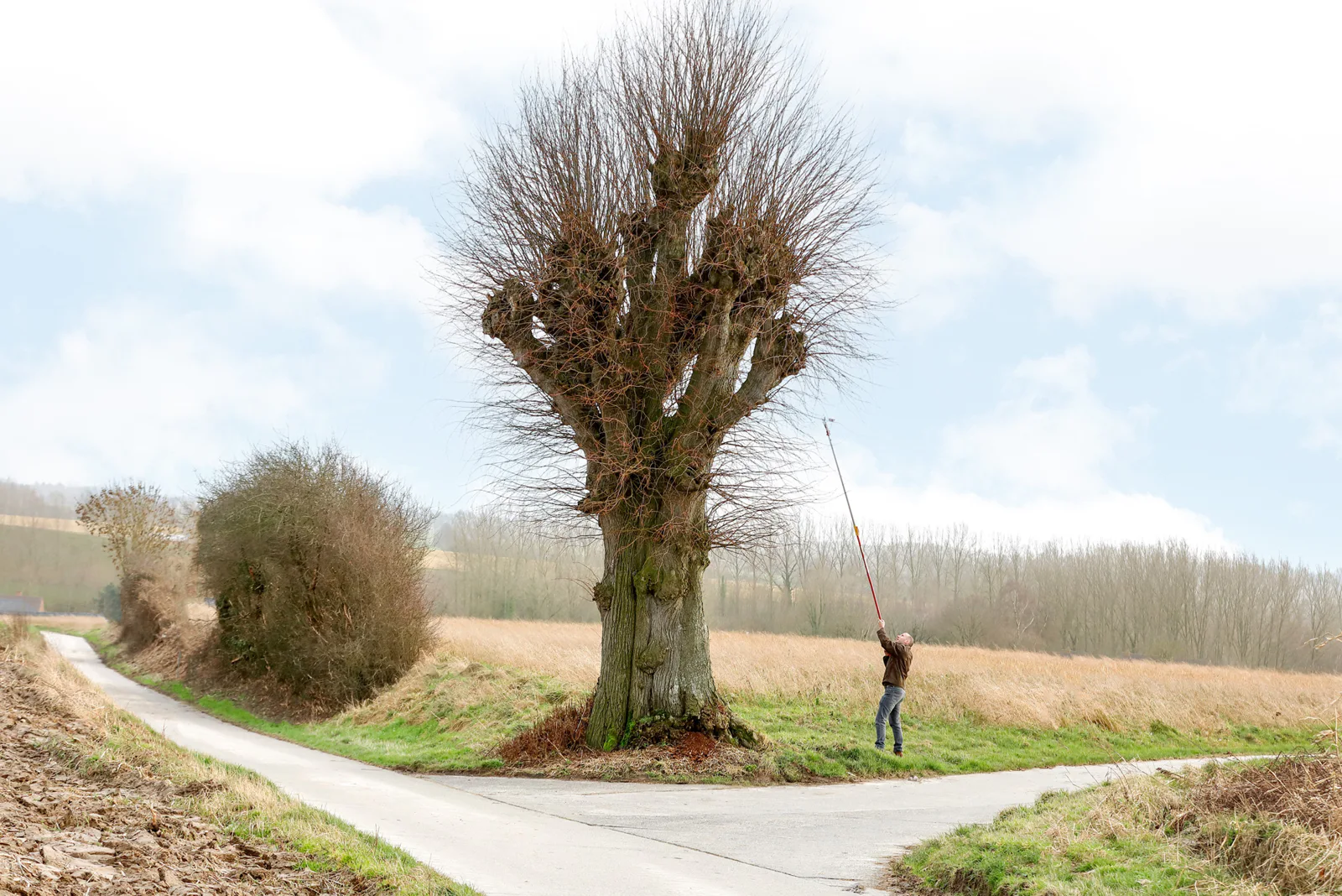 Entenproject Provincie valt in prijzen op European Heritage Awards.