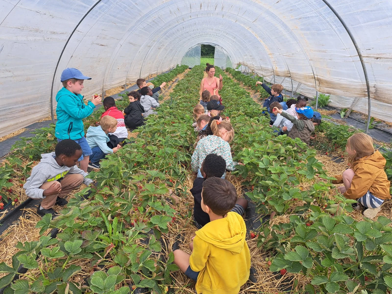 De derde kleuterklas van GBS de Vlindertuin bezoekt zelfplukboerderij De Daalkouter.