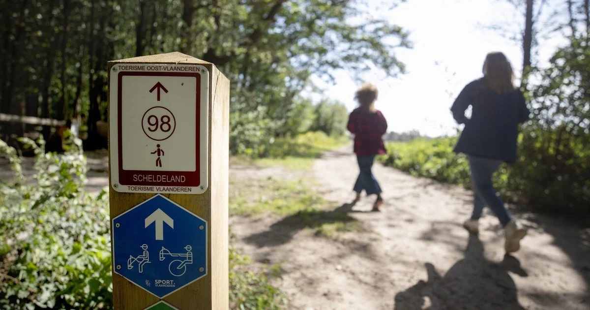 Eerste editie van Routen Trail & Walk laat 500 sportievelingen het hart van de Vlaamse Ardennen verkennen.