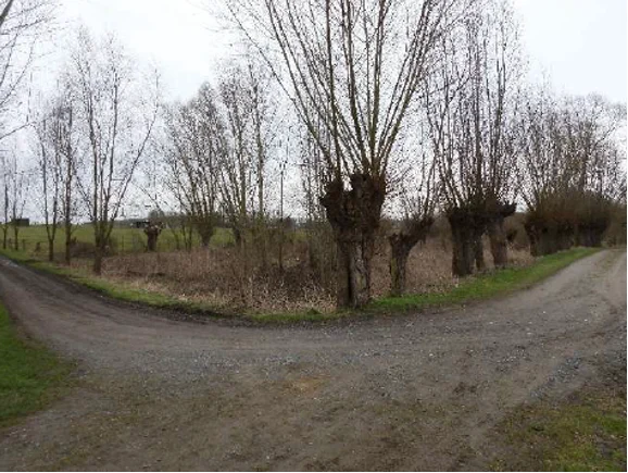 Gemeente Sint-Lievens-Houtem koopt waardevolle weide aan in het Rot te Letterhoutem: versterking van de ecologische verbinding in de Smoorbeekvallei.