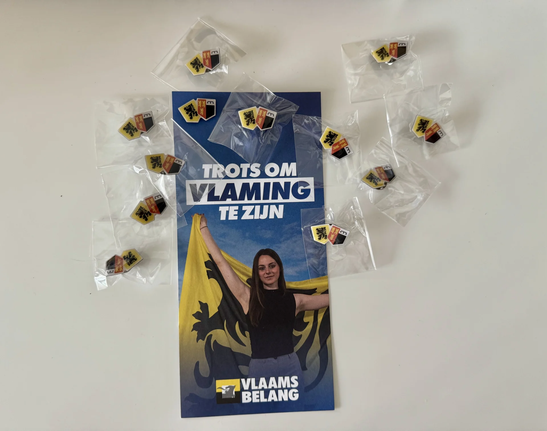 Attentie van Vlaams Belang Denderleeuw voor wie leeuwenvlag uithangt.