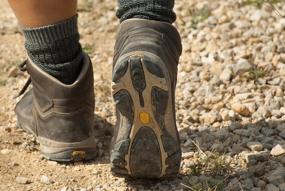Beleef de 29ste Midzomertocht in Bavegem: een zomerse wandeling vol natuur, rust en gezelligheid.