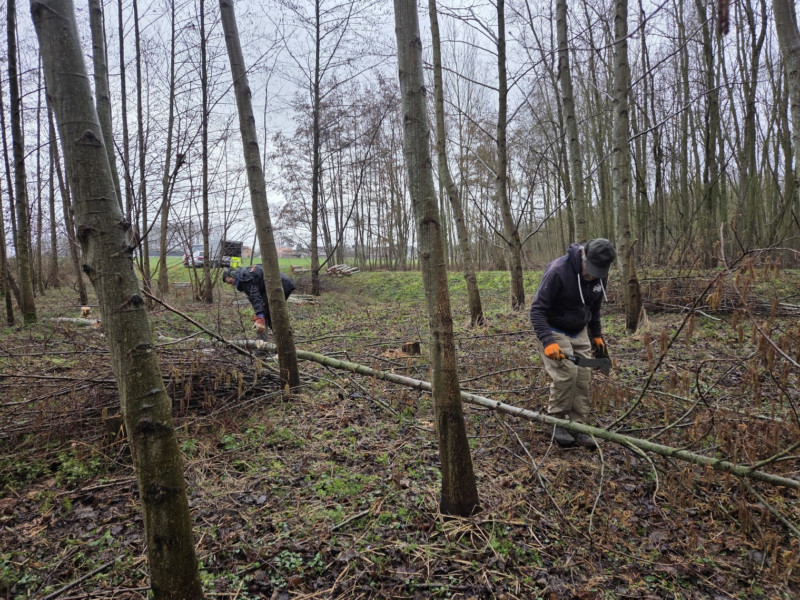 Natuurpunt Houtem voert doordachte beheerwerken uit in de Smoorbeekvallei