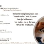 Infoavond over ‘levend verlies’ bij dementie: omgaan met afscheid terwijl je dierbare er nog is.