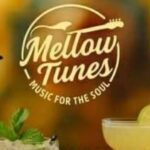 Mellow Tunes zorgen op 8 maart voor sfeervol aperitiefconcert.