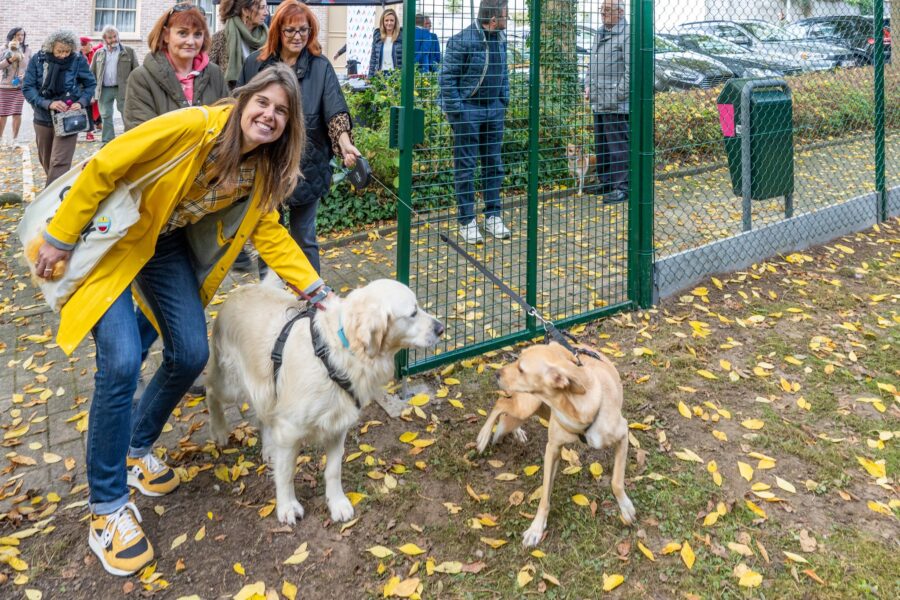 Meer dan 2 miljoen honden en katten in Vlaanderen: Aalst bij de absolute koplopers.