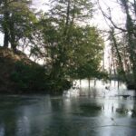 Onderhoudswerkzaamheden Motte Ressegem.