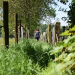 Herzele organiseert dorpswandelingen in alle deelgemeenten met gidsen.