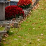 Geraardsbergen vergroent kerkhof in Ophasselt: meer natuur, kleur en biodiversiteit op laatste rustplaatsen.