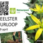 Vijfde editie van natuurloop in Lede kondigd apart wandelparcour aan