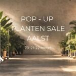 PLANTEN POP-UP brengt uitzonderlijk aanbod kamerplanten naar Aalst.