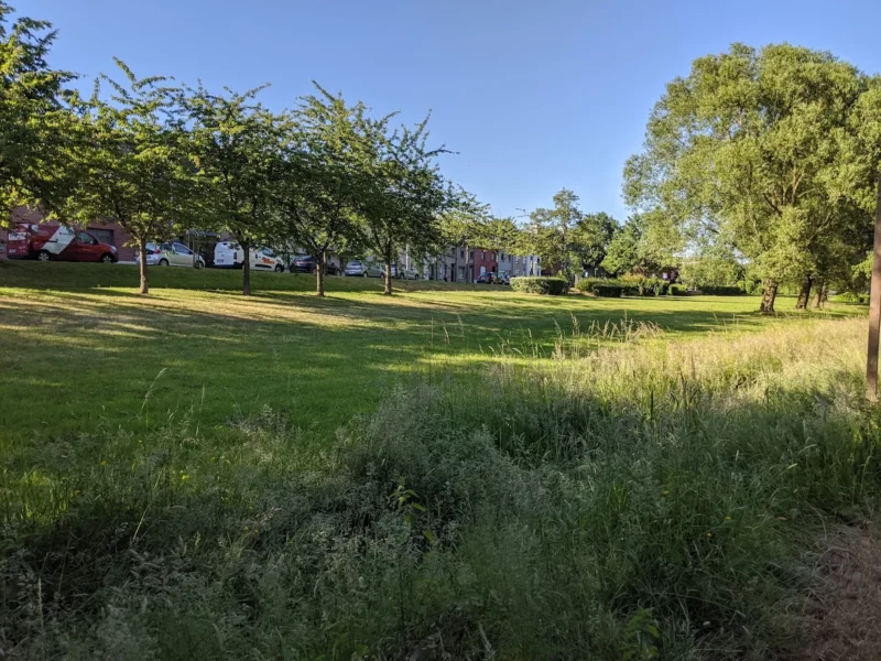 Discussie over nieuwe naam voor educatief park in Herzele: “Speeloven” stuit op kritiek, historisch alternatief gevraagd.