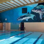 Subsidies voor schoolzwemmen goedgekeurd in Ninove, maar oppositie blijft aandringen op nieuw zwembad.
