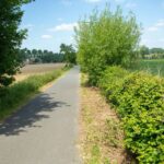 Historische dorpswandeling laat deelnemers het hart van Herzele herontdekken.