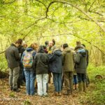 Op ontdekking in het Cotthembos: bos, water en natuurbeleid centraal tijdens boeiende wandeling.