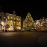 Zottegem zoekt kerstboom voor de Markt: ‘Misschien steelt jouw boom deze winter wel de show’