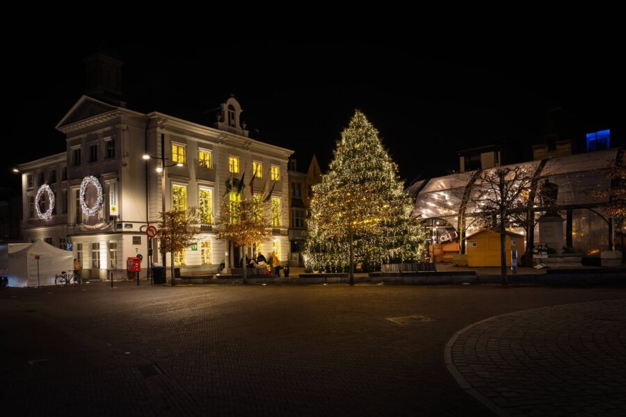 Zottegem zoekt kerstboom voor de Markt: ‘Misschien steelt jouw boom deze winter wel de show’