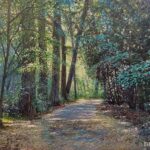 Op ontdekking in het Park van Mesen: Natuurpunt neemt gezinnen mee langs bomen en verborgen natuur.