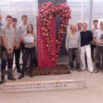 Scheppersinstituut Wetteren valt in de prijzen met bijzondere Floraliën-stand rond de kracht van mycorrhiza.