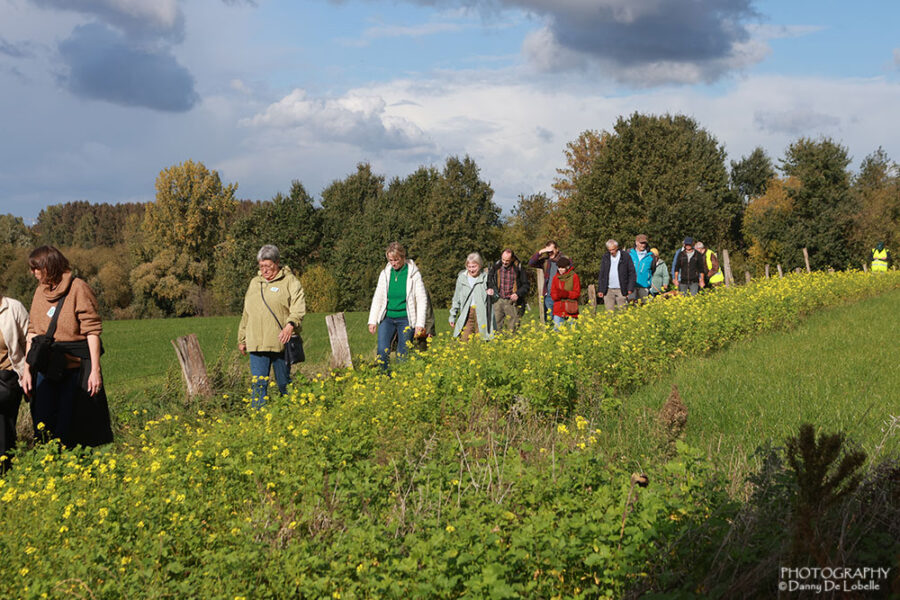 Ferrariswandeling neemt wandelaars mee door de historische vallei van de Molenbeek in Moortsele.
