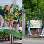 Grote plantenverkoop keert terug naar Aalst: meer dan 2.000 planten in De Keirk.