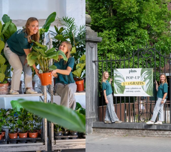 Grote plantenverkoop keert terug naar Aalst: meer dan 2.000 planten in De Keirk.